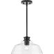 Singleton 1 Light 14 inch Matte Black Pendant Ceiling Light