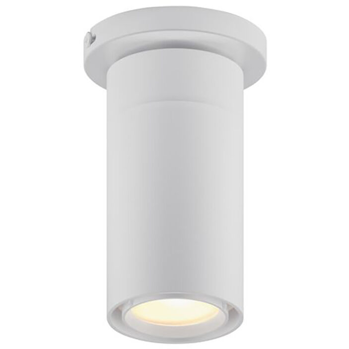 GX25 1 Light 3.50 inch Flush Mount