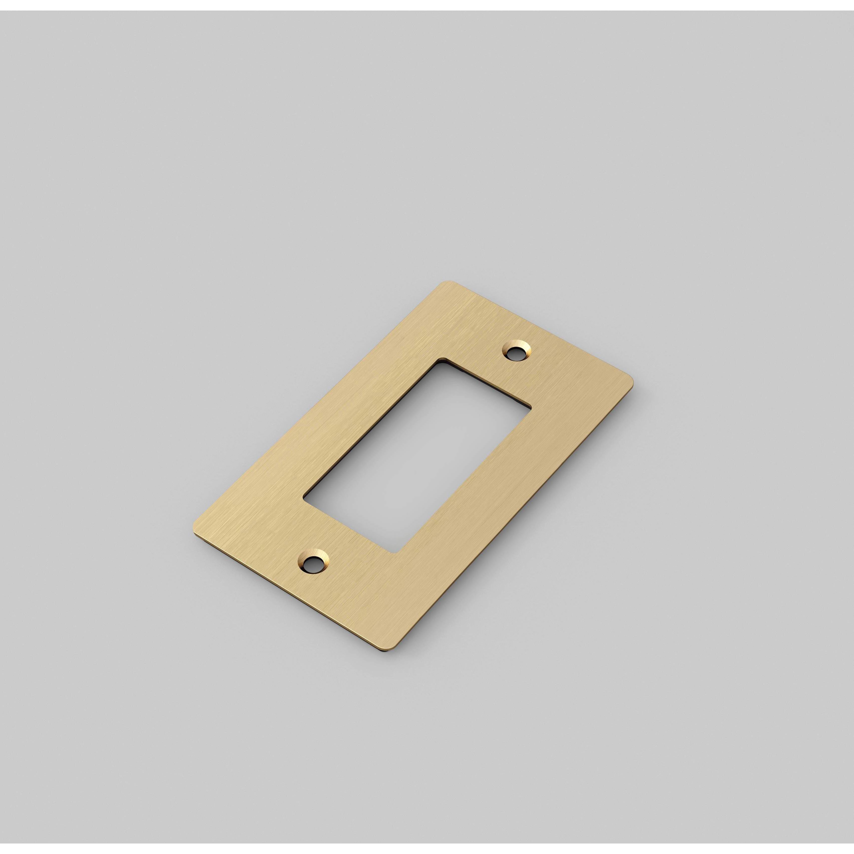 1G Brass Plate