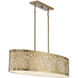 New Haven 5 Light 15.5 inch Burnished Brass Oval Chandelier Ceiling Light