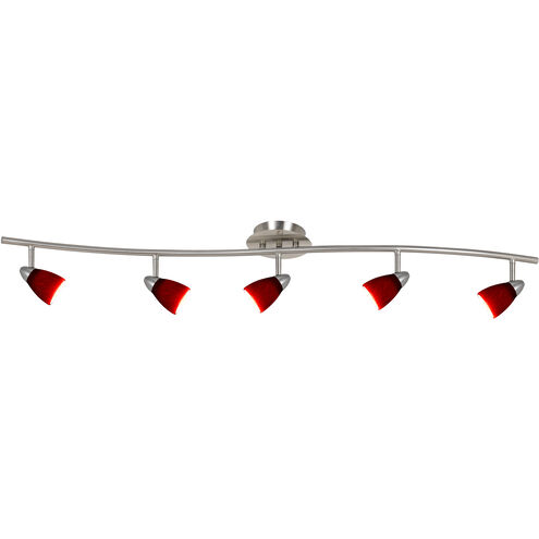 Serpentine 5 Light 120V Brushed Steel Rail Fixture Ceiling Light