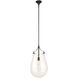 Dewdrop 1 Light 13.5 inch Matte Black Pendant Ceiling Light