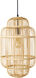 Ornado 1 Light 11.8 inch Pendant Ceiling Light