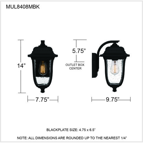 Mulberry 1 Light 14 inch Matte Black Outdoor Wall Lantern