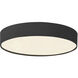Rynn 5.25 inch Black Flush Mount Ceiling Light