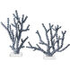 Blue Coral 14.5 X 12.25 inch Sculptures, Set of 2