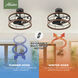 Bridgette Fandelier 22 inch Matte Black Ceiling Fan