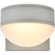 Raine Outdoor Wall Light in Silver