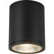 Nordic LED 5 inch Black Exterior Ceiling