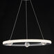 Nodes LED 24 inch Brushed Aluminum Ring Pendant Ceiling Light