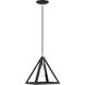 Pinnacle 1 Light 10 inch Black with Brushed Nickel Accents Pendant Ceiling Light