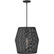 Lisa McDennon Luca 1 Light 20 inch Black Indoor Pendant Ceiling Light, Convertible