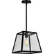 Alyson 1 Light 12 inch Black Down Mini Pendant Ceiling Light