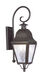 Amwell 2 Light 24.75 inch Bronze Outdoor Wall Lantern