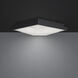 Beyond Wisteria LED 12 inch Black Flush Mount Ceiling Light