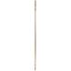 Winton 66 X 26 inch Gold Dressing Mirror