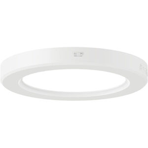 Hurricane 5.43 inch Flush Mount