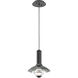 Cirrus LED 14 inch Matte Black Pendant Ceiling Light in Smoke Granite, Large