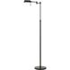 Clemson 1 Light 21.25 inch Floor Lamp
