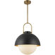 Alora Mood Harper 1 Light 15.75 inch Pendant
