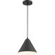 Ford 1 Light 9.5 inch Matte Black Pendant Ceiling Light