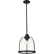 Stanton 1 Light 12 inch Matte Black Pendant Ceiling Light
