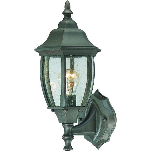 Covington 1 Light 14.25 inch Painted Bronze with Clear Outdoor Wall Sconce