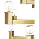 Andre 36 Light 38 inch Brass Chandelier Ceiling Light