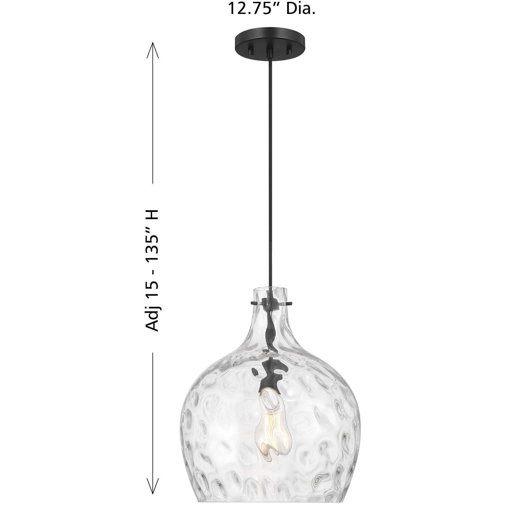 Coastal 1 Light 12.75 inch Matte Black Pendant Ceiling Light