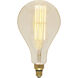 Lumos Incandescent PS52 Medium E26 60 watt 120V 2200K Light Bulb