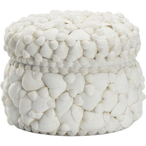 Round White Shell 8.5 inch White/Cream Box