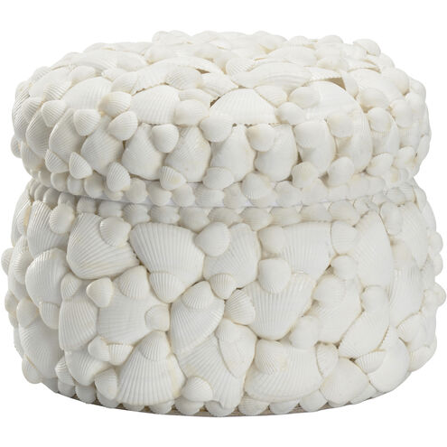 Round White Shell 8.5 inch White/Cream Box