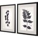 Florals Collection Black Framed Art