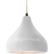Radiance LED 11.5 inch Matte Black and Bisque Pendant Ceiling Light