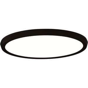 Argo LED 15 inch Black Flush Mount Ceiling Light in 15in.