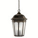 Courtyard 3 Light 12 inch Rubbed Bronze Outdoor Hanging Pendant