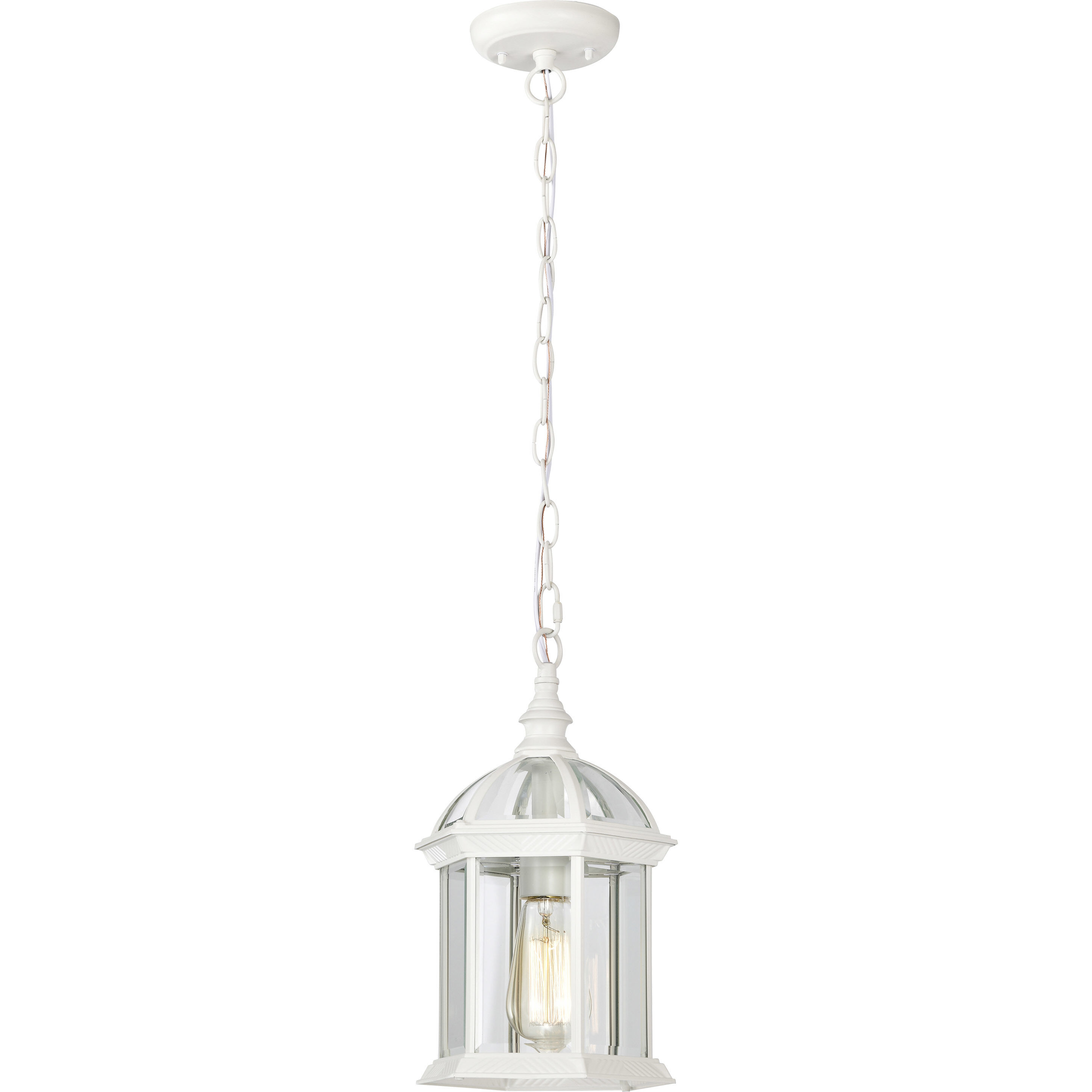 Boxwood 1 Light 8 inch White Outdoor Hanging Lantern