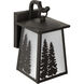 Torrey Outdoor Wall Lantern, Small