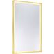 Paulding 48 X 32 inch Gold Mirror, Frontlit