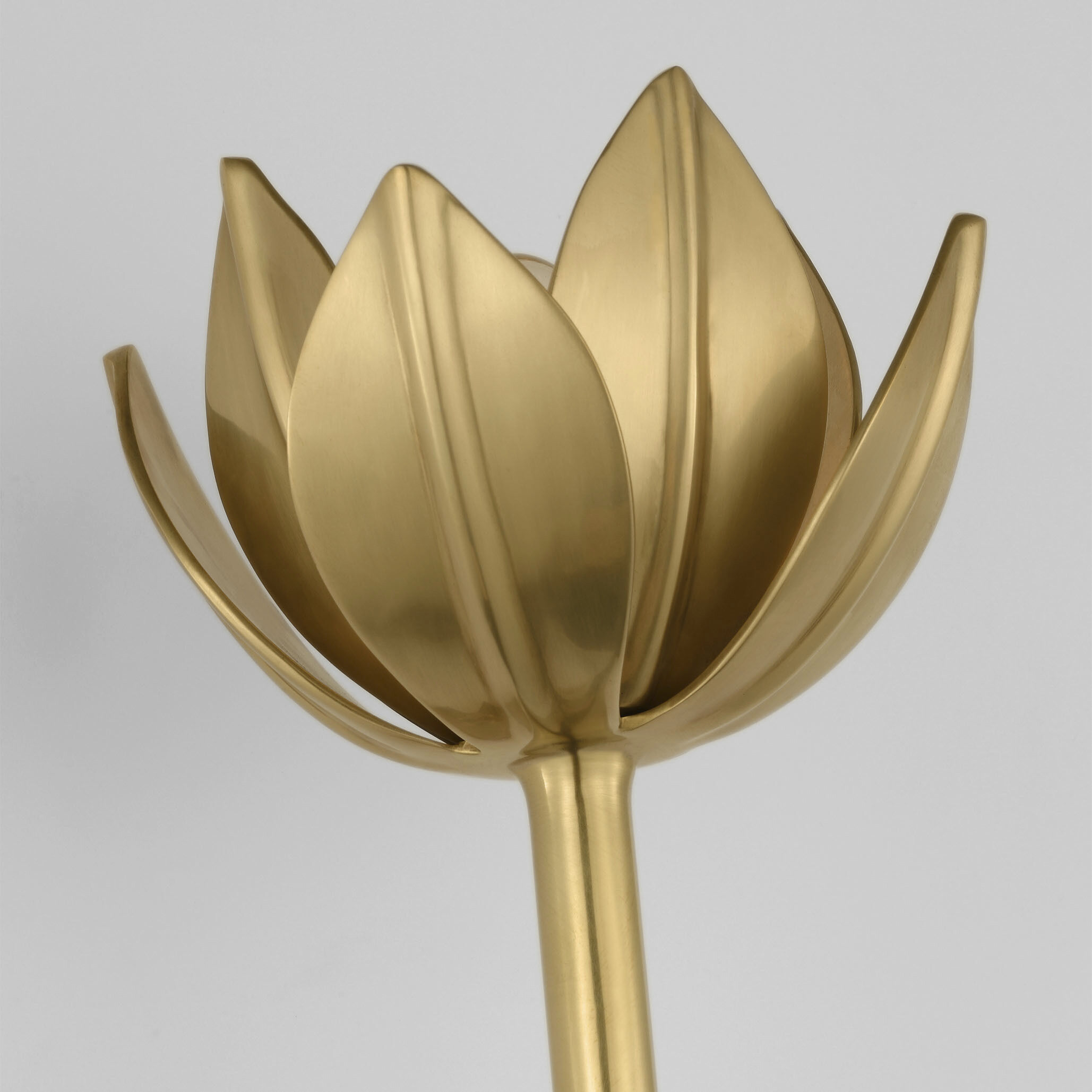 Julie Neill Alberto 1 Light 5.5 inch Antique-Burnished Brass Sconce Wall Light, Medium