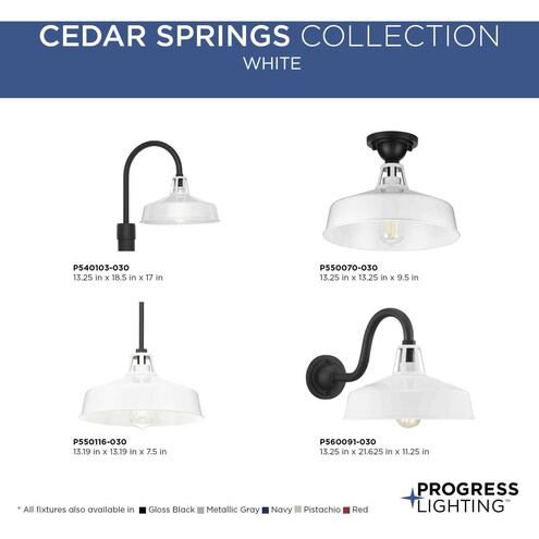 Cedar Springs 1 Light 17 inch White Outdoor Post Lantern