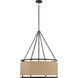 Windward Passage 6 Light 26.5 inch Coal And Soft Brass Pendant Ceiling Light in Coal/Soft Brass