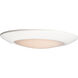 Diverse LED LED 11 inch White Flush Mount Ceiling Light