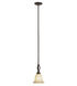 Farmhouse 1 Light 7 inch Rubbed Oil Bronze Mini-Pendant Ceiling Light in Tea Stain
