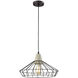 Light Visions Industrial 1 Light 17 inch Black Pendant Ceiling Light 15217-1 - Open Box