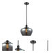 Ballston Large Fenton LED 11 inch Matte Black Pendant Ceiling Light in Light Smoke Glass, Ballston