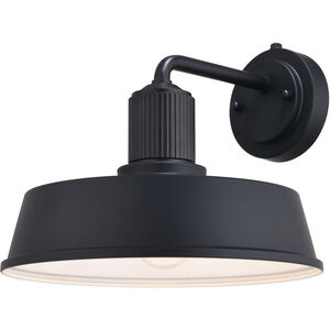 Hammond LED 9.75 inch Matte Black and White Outdoor Wall
