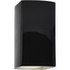 Ambiance 1 Light 10 inch Gloss Black Outdoor Wall Sconce, Small