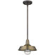 Burry 1 Light 10.25 inch Antique Brass Exterior Convertible Pendant