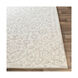 Kadenza 36 X 24 inch Beige Rug, Rectangle